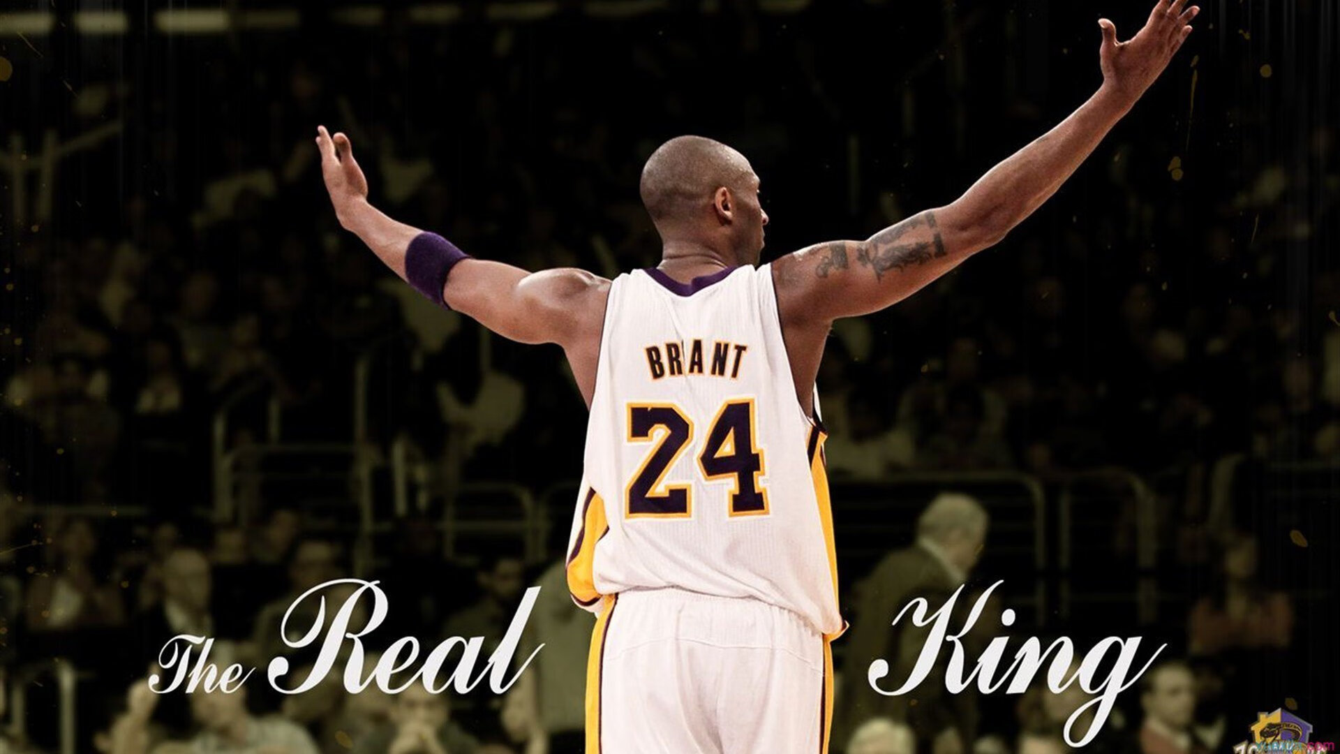 范弗利特引领攻防风暴，广厦火力全开压制鹈鹕